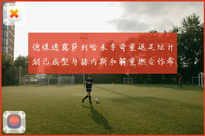 德媒透露萨利哈米季奇重返足坛计划已成型与赫内斯和解重燃合作希望