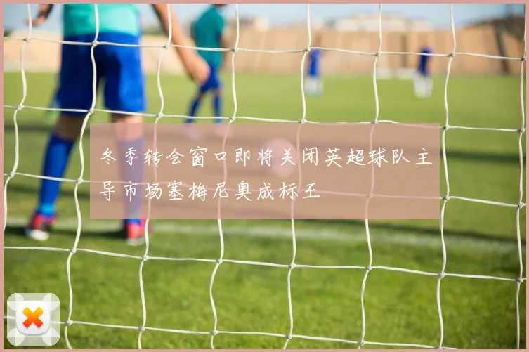 冬季转会窗口即将关闭英超球队主导市场塞梅尼奥成标王